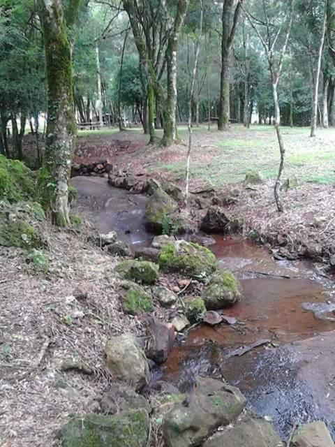 Camping Caitano Hotel Campo Grande  Eksteriør billede
