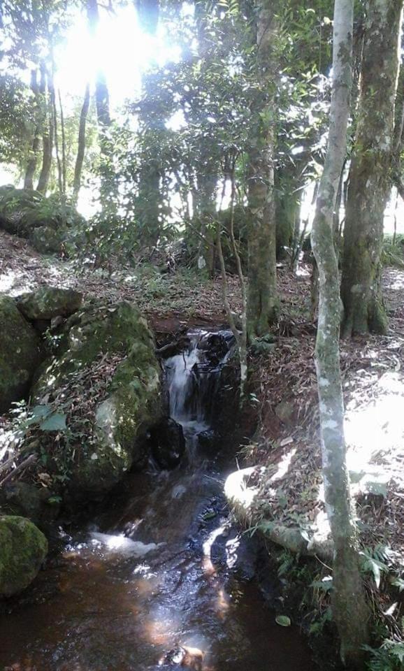 Camping Caitano Hotel Campo Grande  Eksteriør billede